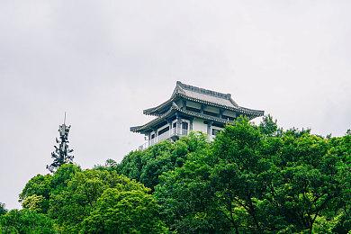 AMD FSR 2.0细节曝光：画质更好、帧率翻番